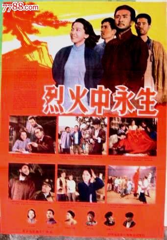 哪里能买到广东发展银行流水电子版PDF